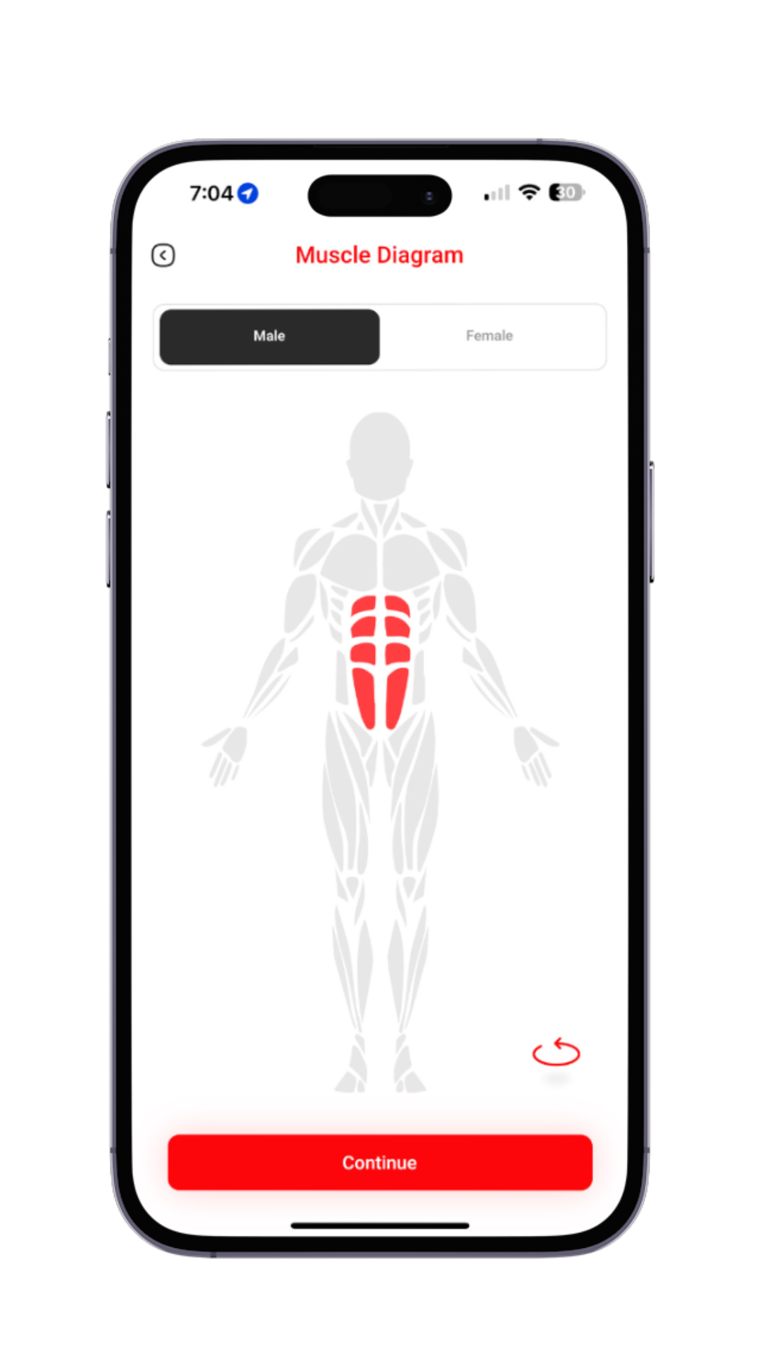 34. Male Muscle Diagram