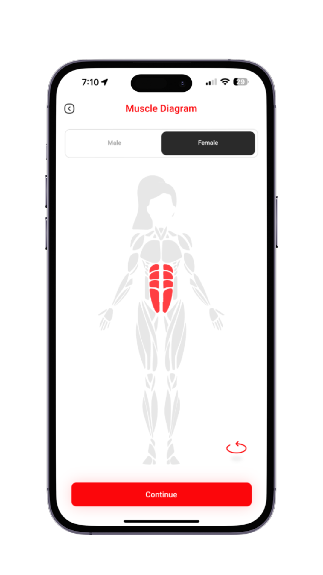 36. Female Muscle Diagram