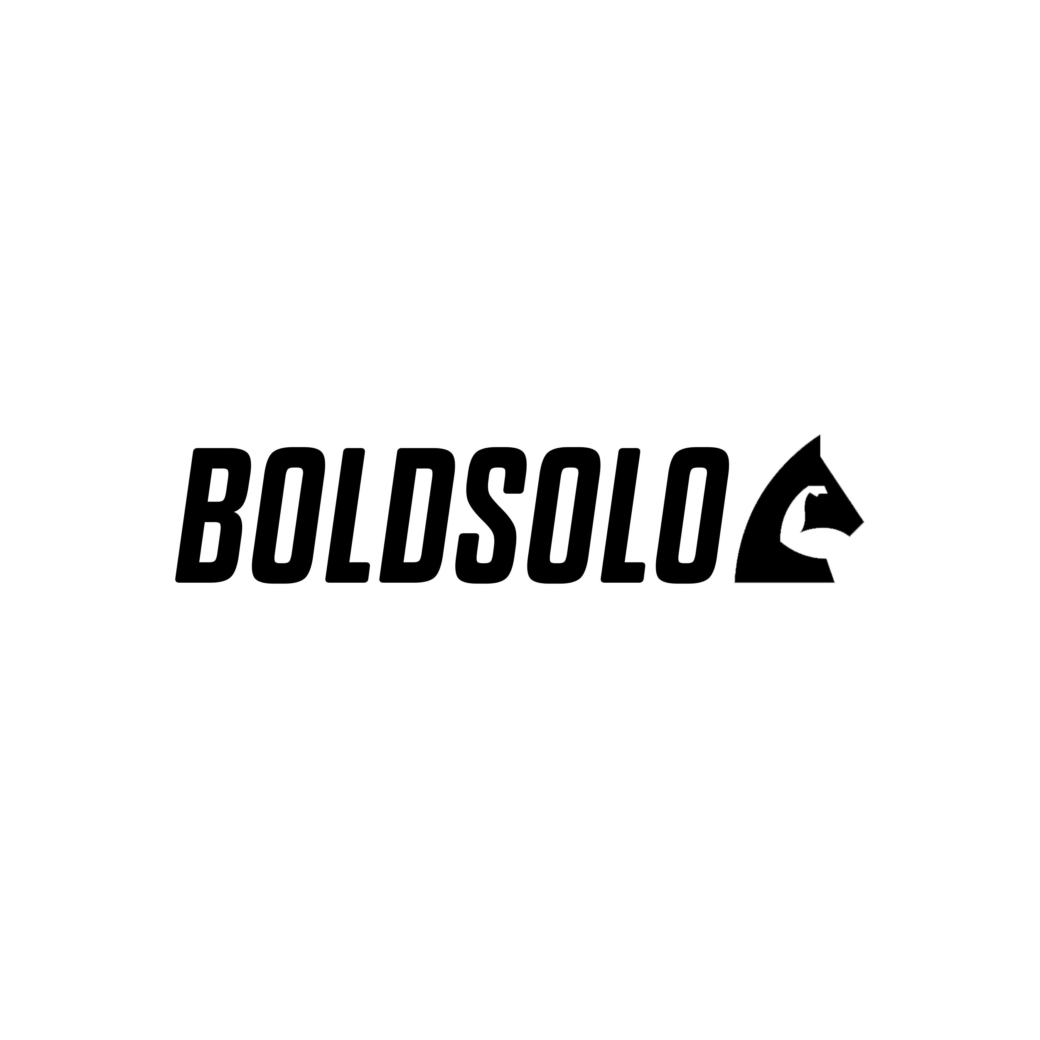 Bold Solo WB Logo